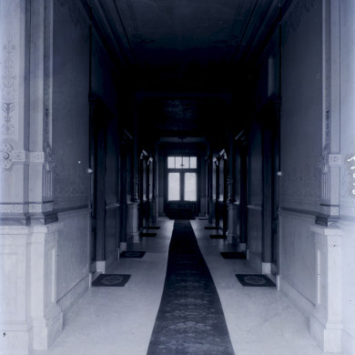 Rijksdienst voor het Cultureel Erfgoed: Brinio