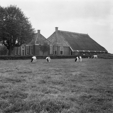 Rijksdienst voor het Cultureel Erfgoed: Dukker, G.J.