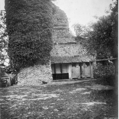 Rijksdienst voor het Cultureel Erfgoed