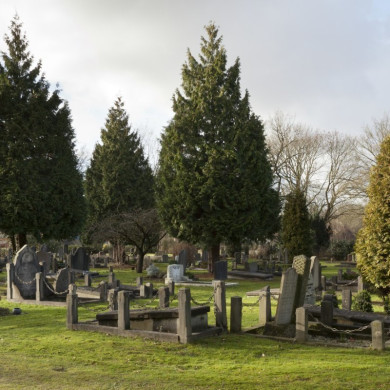Rijksdienst voor het Cultureel Erfgoed: Booms, C.S. (Chris)