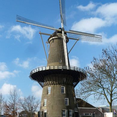 Rijksdienst voor het Cultureel Erfgoed: Brinkkemper, O. (Otto)