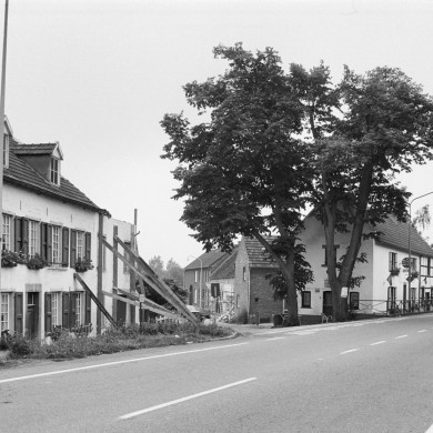 Rijksdienst voor het Cultureel Erfgoed: Tangel, L.M.