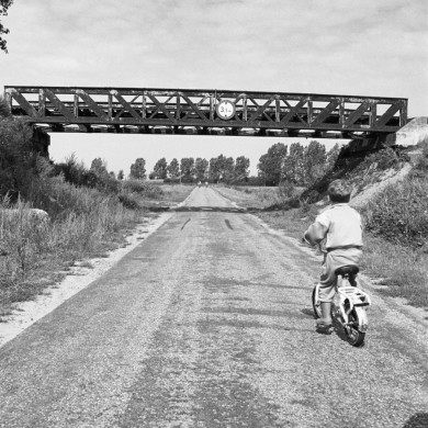 Rijksdienst voor het Cultureel Erfgoed: Tangel, L.M.