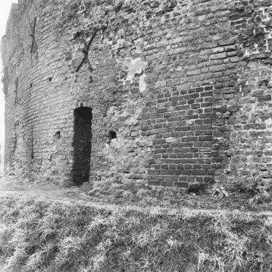 Rijksdienst voor het Cultureel Erfgoed: Delemarre, G.Th.