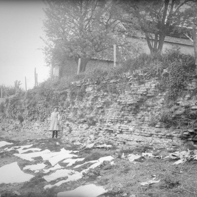 Rijksdienst voor het Cultureel Erfgoed