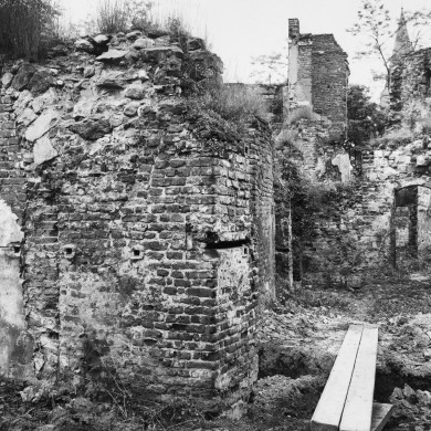 Rijksdienst voor het Cultureel Erfgoed: Delemarre, G.Th.