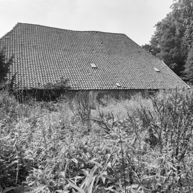 Rijksdienst voor het Cultureel Erfgoed: Galen, P. (Paul) van