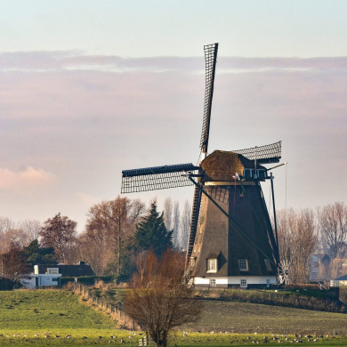 Rijksdienst voor het Cultureel Erfgoed: Booden, A. (Bert)