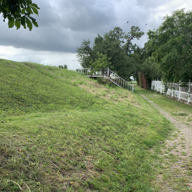 Rijksdienst voor het Cultureel Erfgoed: Bogers, Guido