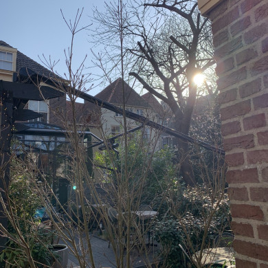 Rijksdienst voor het Cultureel Erfgoed: Bogers, Guido