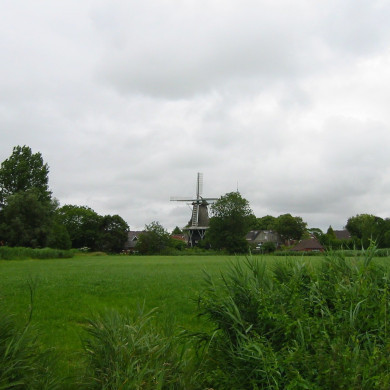 Rijksdienst voor het Cultureel Erfgoed: Terpstra, Frank