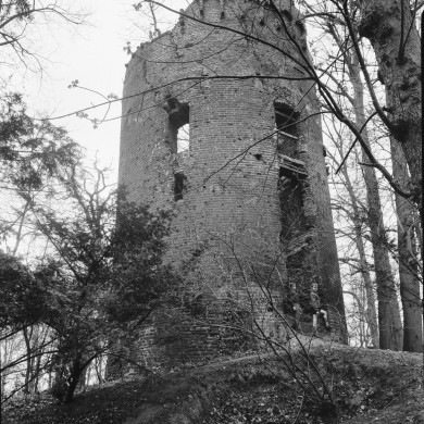 Rijksdienst voor het Cultureel Erfgoed: Delemarre, G.Th.