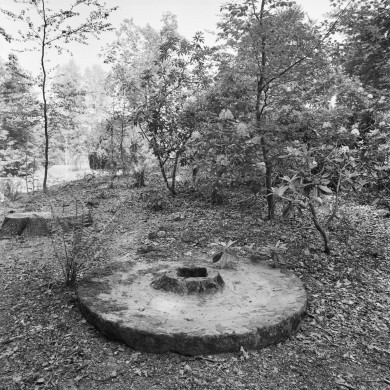 Rijksdienst voor het Cultureel Erfgoed: Galen, P. (Paul) van