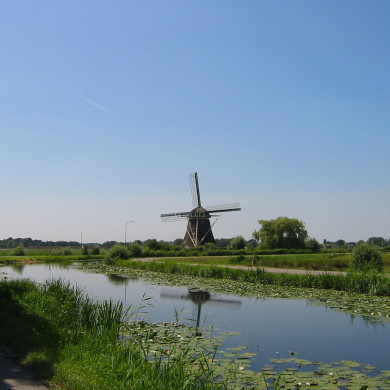 Rijksdienst voor het Cultureel Erfgoed: Terpstra, Frank