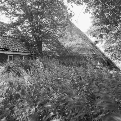 Rijksdienst voor het Cultureel Erfgoed: Wal, A.J. van der