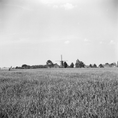 Rijksdienst voor het Cultureel Erfgoed: Korpershoek, W.A.