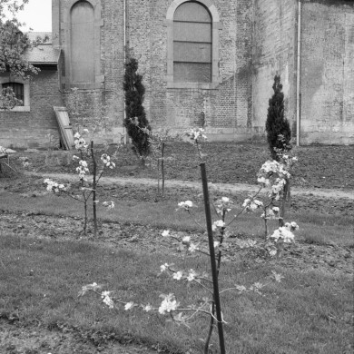 Rijksdienst voor het Cultureel Erfgoed: Tangel, L.M.