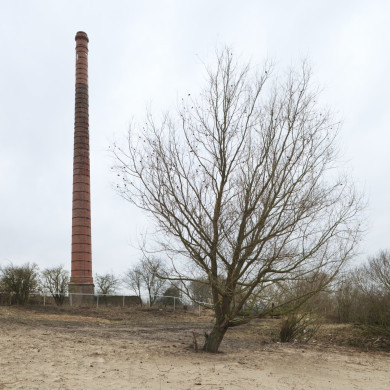Rijksdienst voor het Cultureel Erfgoed: Booms, C.S. (Chris)