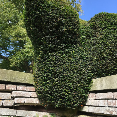 Rijksdienst voor het Cultureel Erfgoed: Wal, Henry van der
