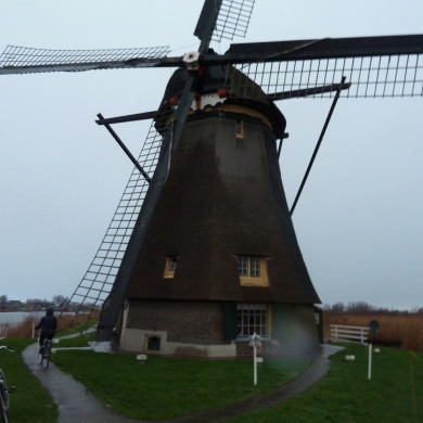 Rijksdienst voor het Cultureel Erfgoed: Bogers, Guido