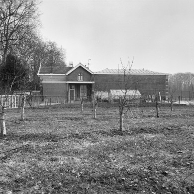 Rijksdienst voor het Cultureel Erfgoed: Schollen, A.H.C.