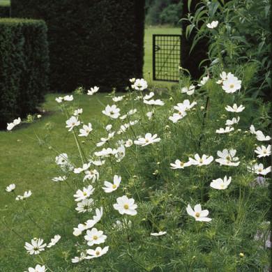 Rijksdienst voor het Cultureel Erfgoed: Heuff M. (Marijke)