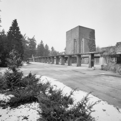 Rijksdienst voor het Cultureel Erfgoed: Heins, IJ.Th.
