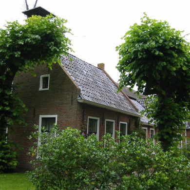 Rijksdienst voor het Cultureel Erfgoed: Terpstra, Frank