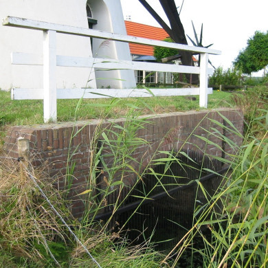 Rijksdienst voor het Cultureel Erfgoed: Terpstra, Frank