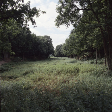 Rijksdienst voor het Cultureel Erfgoed: Roderburg, K. (Kris)