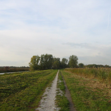 Rijksdienst voor het Cultureel Erfgoed: Terpstra, Frank