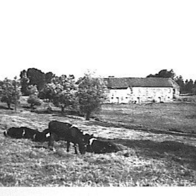 Rijksdienst voor het Cultureel Erfgoed