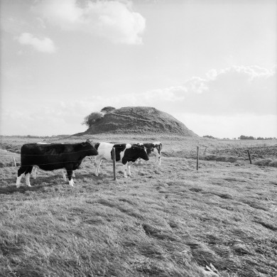 Rijksdienst voor het Cultureel Erfgoed: Dukker, G.J.