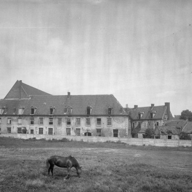 Rijksdienst voor het Cultureel Erfgoed