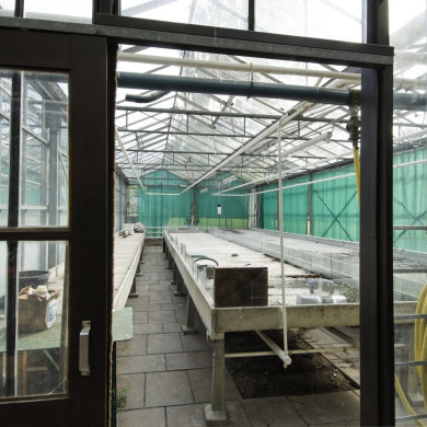 Rijksdienst voor het Cultureel Erfgoed: Galen, Jan van