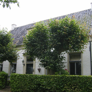 Rijksdienst voor het Cultureel Erfgoed: Terpstra, Frank