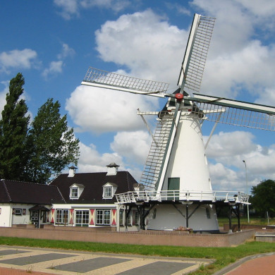 Rijksdienst voor het Cultureel Erfgoed: Terpstra, Frank
