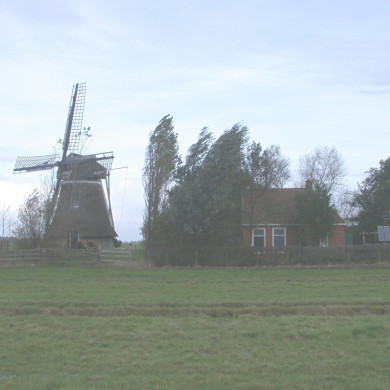 Rijksdienst voor het Cultureel Erfgoed: Terpstra, Frank