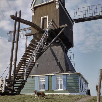 Rijksdienst voor het Cultureel Erfgoed