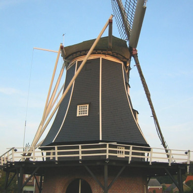 Rijksdienst voor het Cultureel Erfgoed: Terpstra, Frank