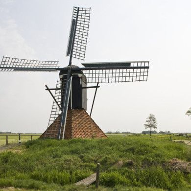 Rijksdienst voor het Cultureel Erfgoed: Roderburg, K. (Kris)