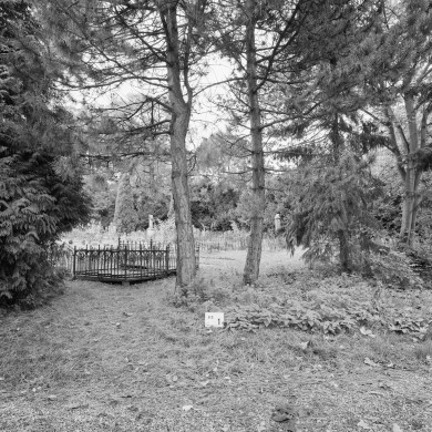 Rijksdienst voor het Cultureel Erfgoed: Wal, A.J. van der