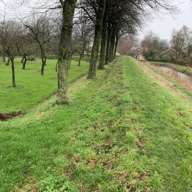Rijksdienst voor het Cultureel Erfgoed: Bogers, Guido