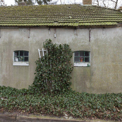 Rijksdienst voor het Cultureel Erfgoed: Booms, Chris