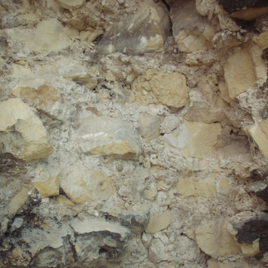 Rijksdienst voor het Cultureel Erfgoed