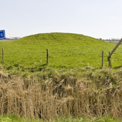 Rijksdienst voor het Cultureel Erfgoed: As, Bert van