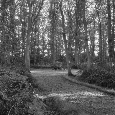 Rijksdienst voor het Cultureel Erfgoed