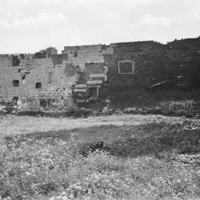 Rijksdienst voor het Cultureel Erfgoed: Delemarre, G.Th.