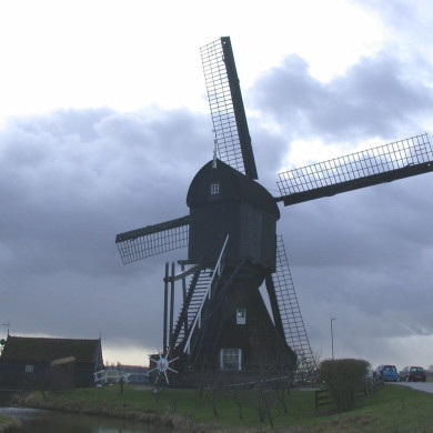 Rijksdienst voor het Cultureel Erfgoed: Terpstra, Frank