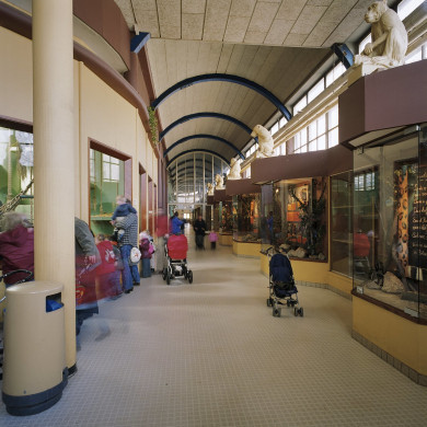 Rijksdienst voor het Cultureel Erfgoed: Wal, A.J. van der